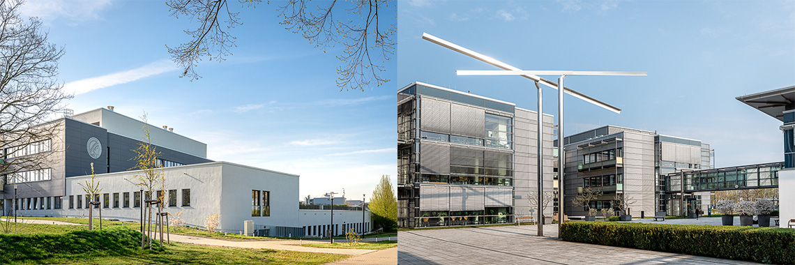 Max-Planck-Institut f&uuml;r Molekulare Pflanzenphysiologie