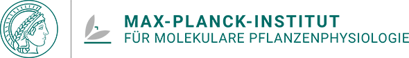 Max-Planck-Institut f&uuml;r Molekulare Pflanzenphysiologie