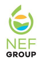 NEF F&ouml;rderungs GmbH
